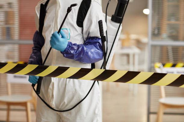 Professional Infectious Disease Decontamination technician working in Hyde Park, MA